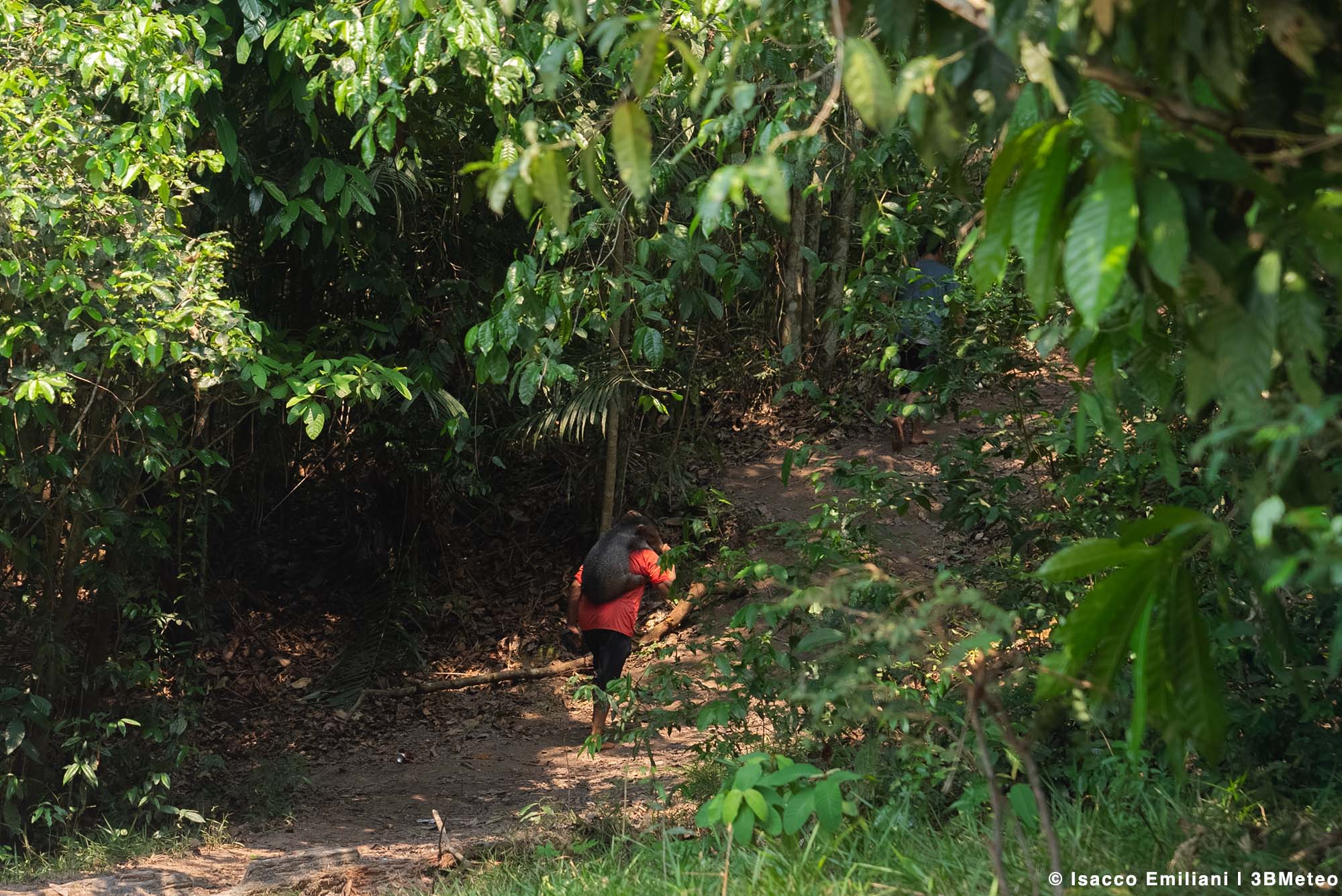Amazzonia 18