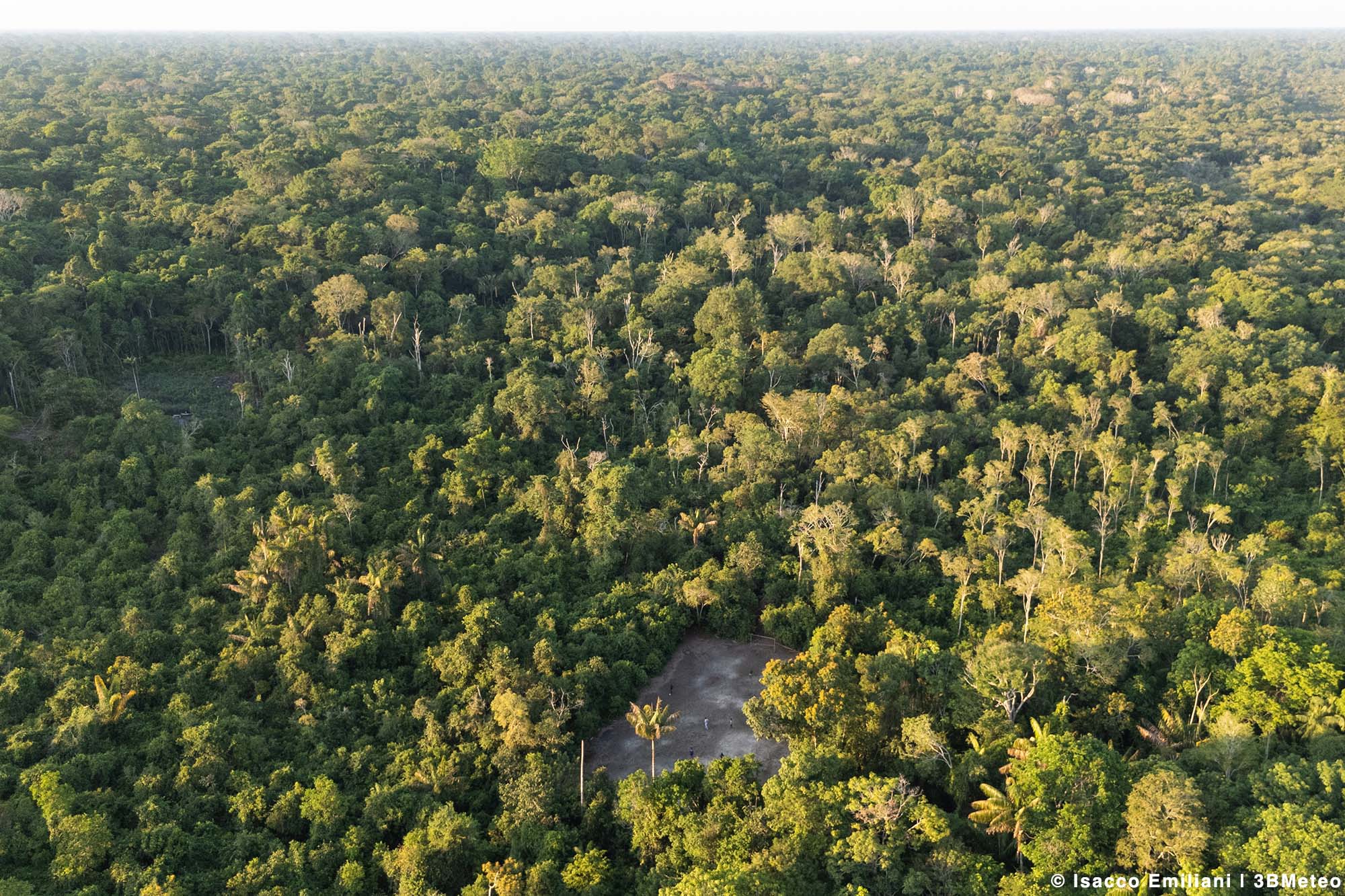Amazzonia 36